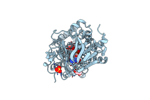 6Y4J image