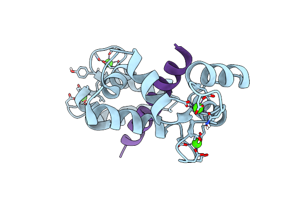 6Y4O image