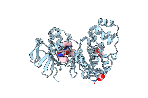 6Y4U image