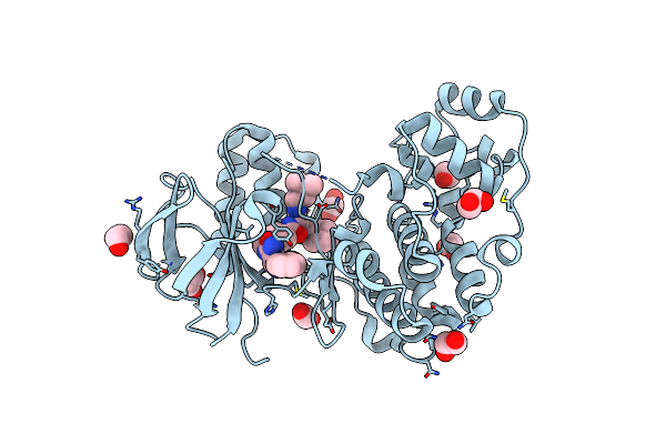 6Y4V image