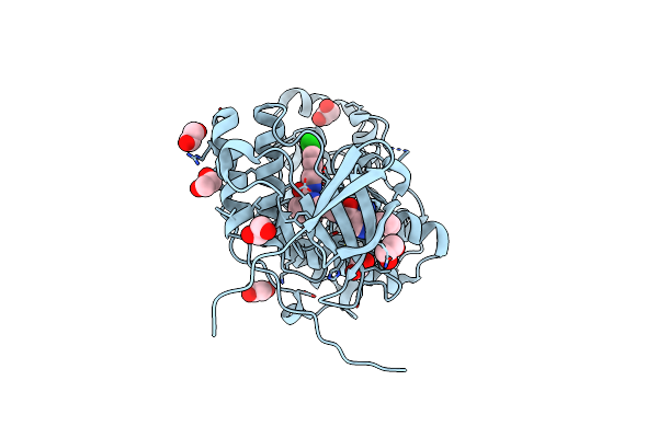 6Y4X image
