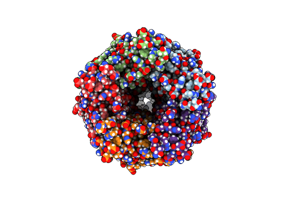 6Y5A image