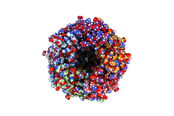 6Y5B image