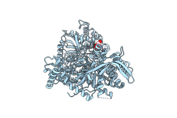 6Y5C image