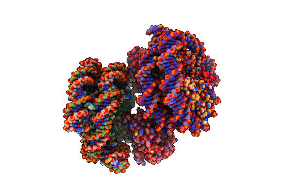 6Y5D image