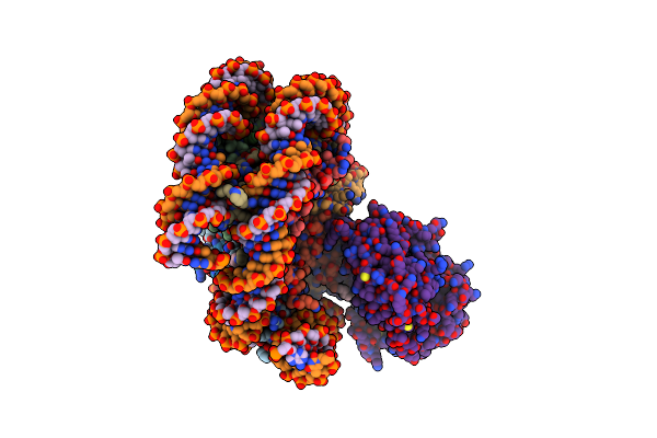 6Y5E image
