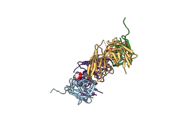 6Y6C image