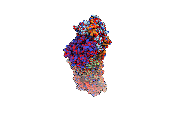 6Y6D image