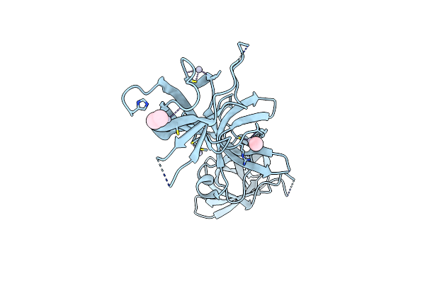 6Y6E image