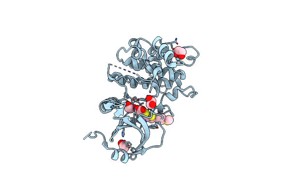 6Y6F image