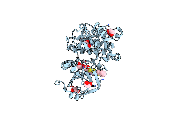 6Y6H image