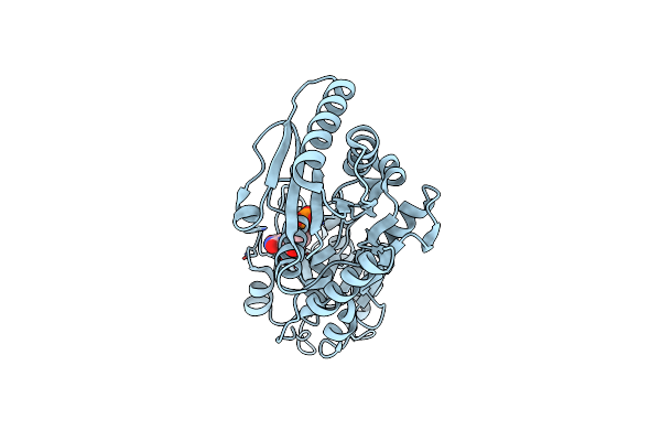 6Y6I image