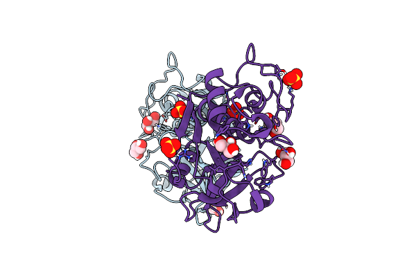 6Y6L image