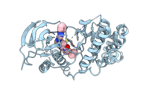 6Y6V image