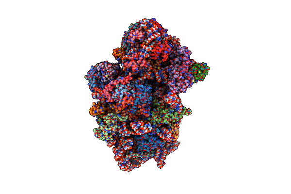 6Y7C image