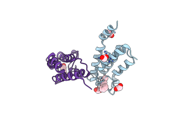 6Y7H image