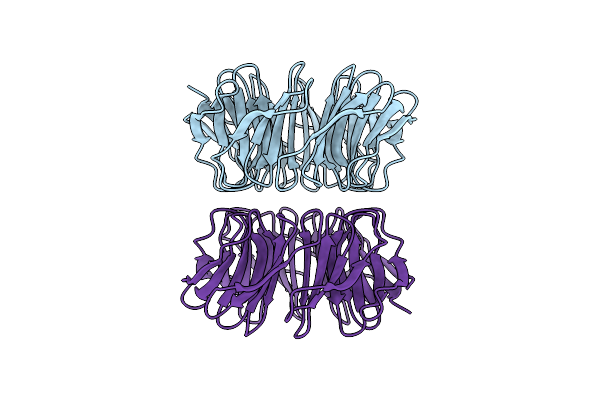 6Y7N image