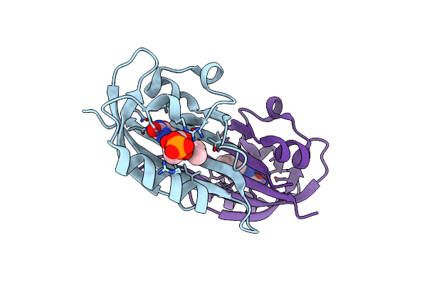 6Y7R image