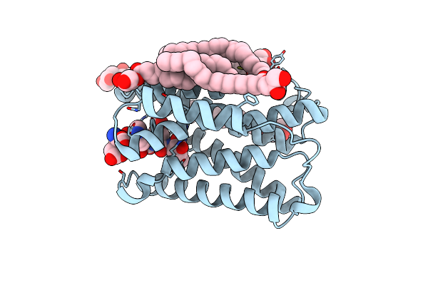 6Y7V image
