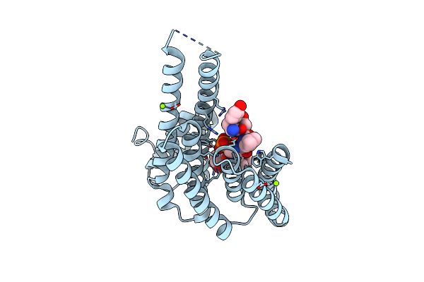 6Y8B image