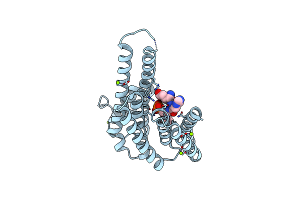 6Y8D image