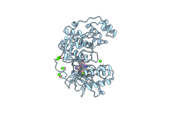 6Y8H image
