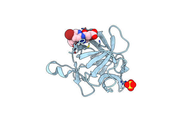 6Y8M image