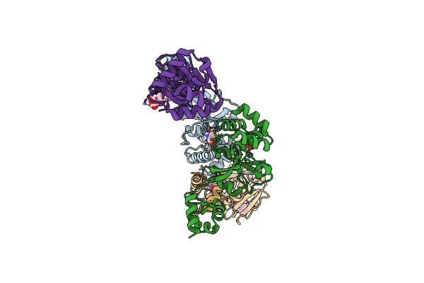6Y8Q image