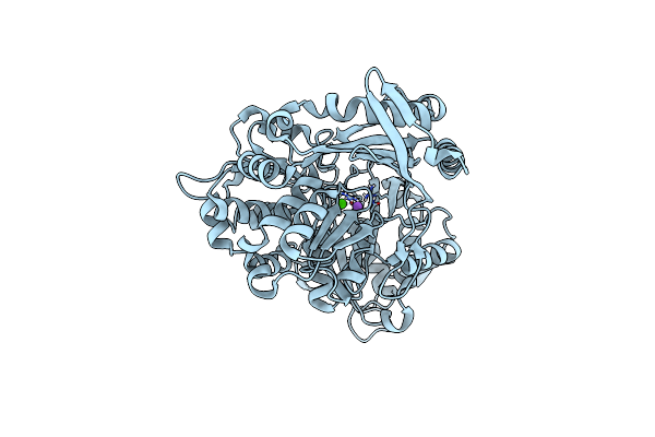 6Y8X image
