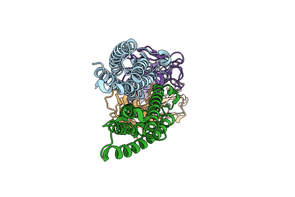 6Y9A image