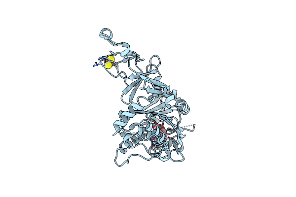 6Y9C image