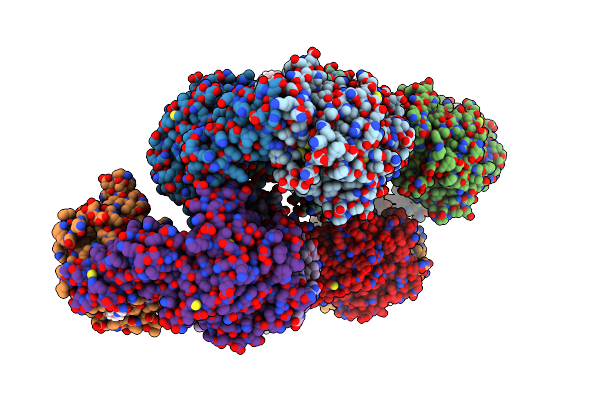 6Y9D image