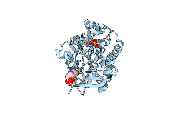 6Y9F image