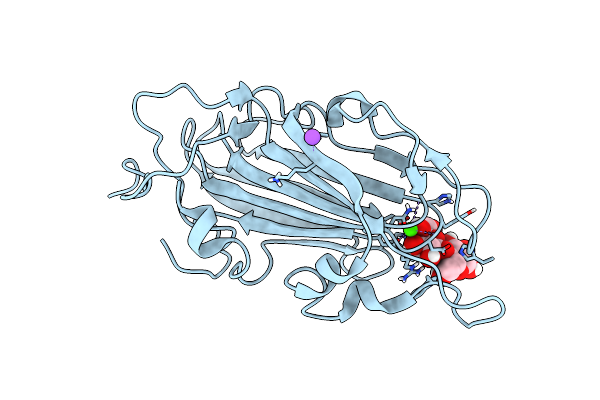 6Y9J image