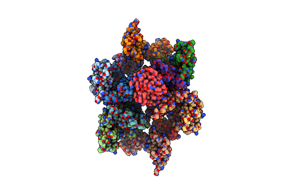 6Y9Z image