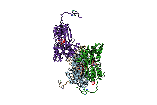 6YAB image