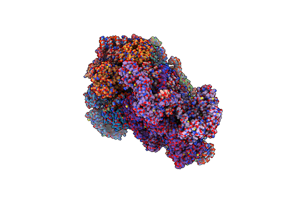 6YAM image