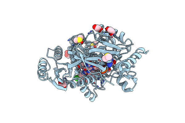 6YAP image