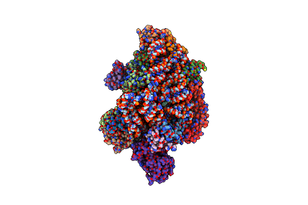 6YBS image