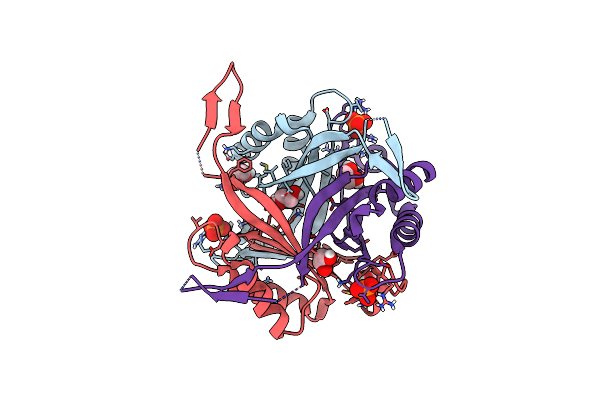 6YC6 image