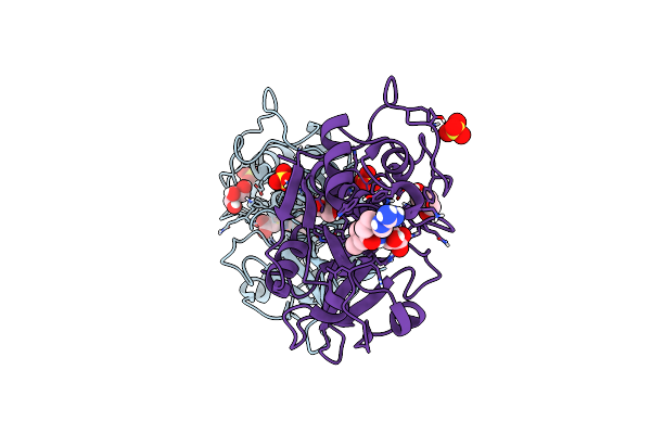 6YCC image