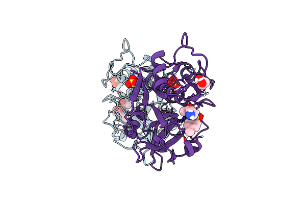6YCD image