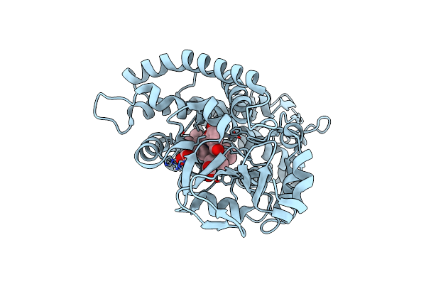 6YCL image