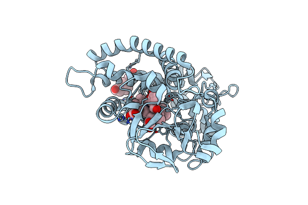 6YCT image
