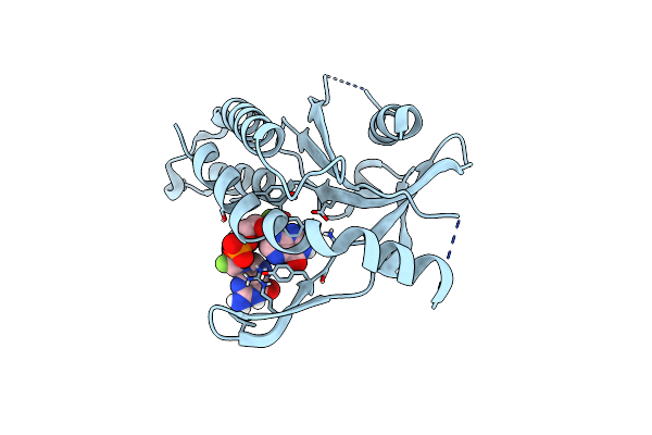 6YDB image