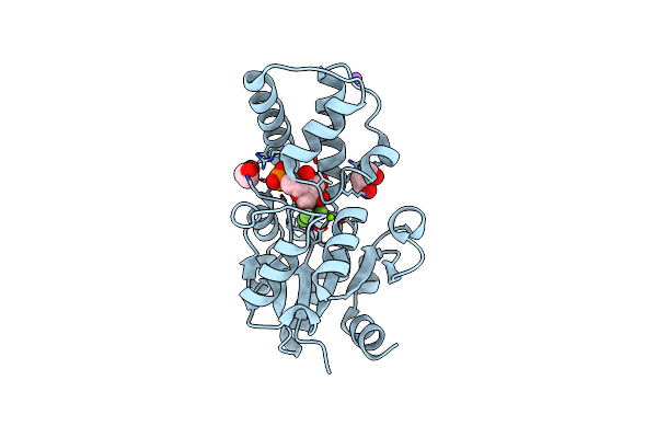 6YDJ image