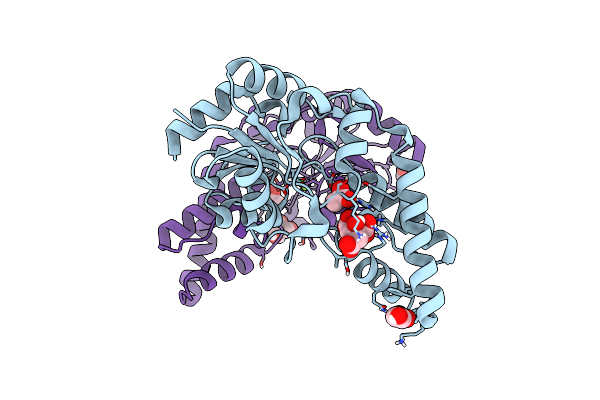 6YDM image
