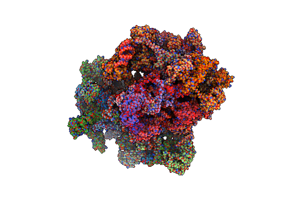 6YDP image