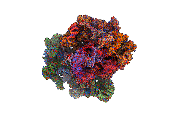 6YDW image