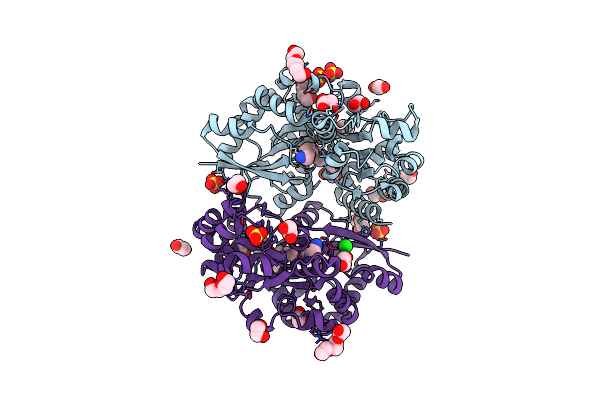6YEC image